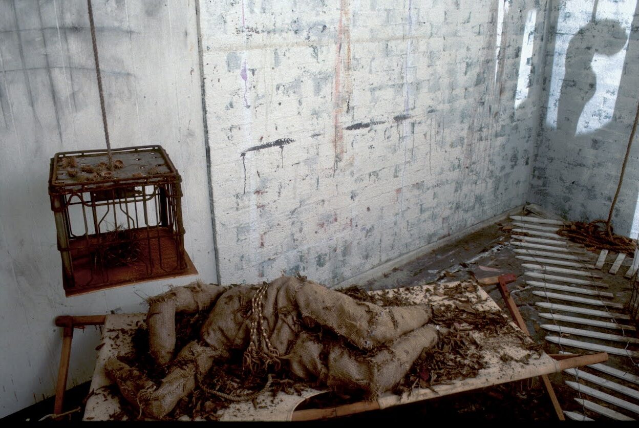 roller skates, shoes, assemblage